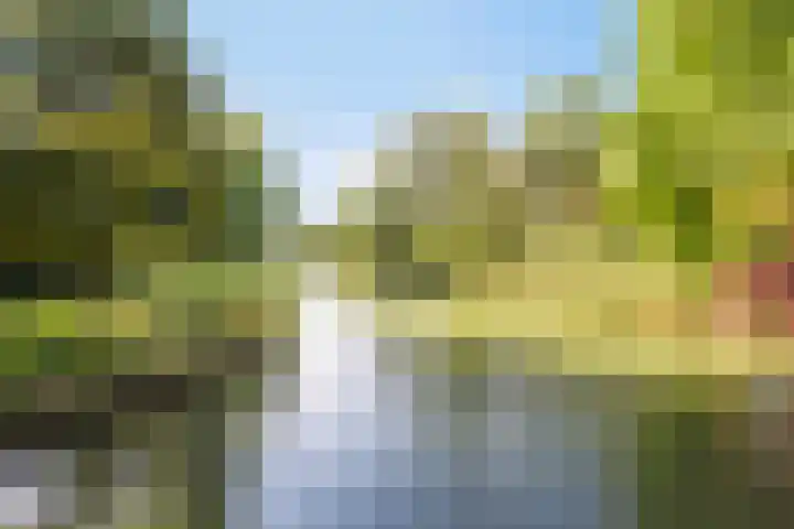 Katwoudehof 59 Arnhem thumbnail 51
