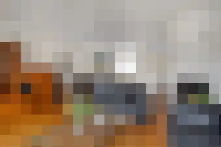 Katwoudehof 92 Arnhem thumbnail 18
