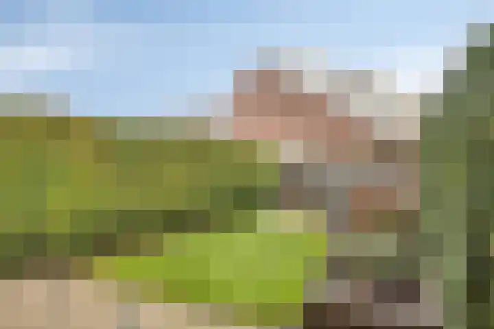 Katwoudehof 92 Arnhem thumbnail 19