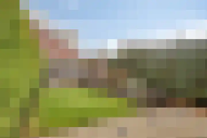 Katwoudehof 92 Arnhem thumbnail 20