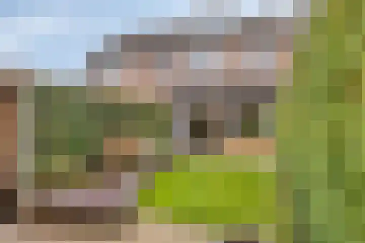 Katwoudehof 92 Arnhem thumbnail 22