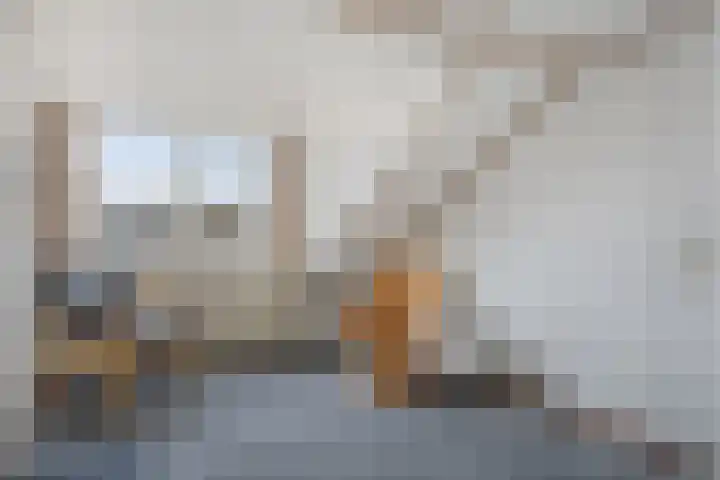 Katwoudehof 92 Arnhem thumbnail 38