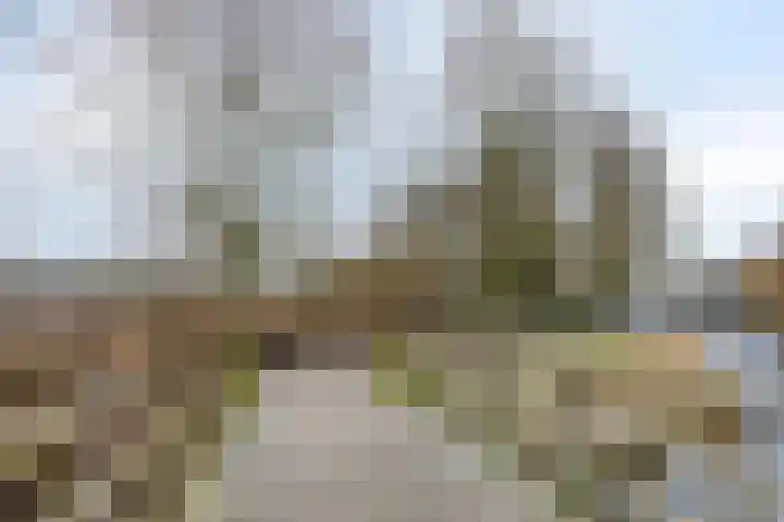 Katwoudehof 92 Arnhem thumbnail 48