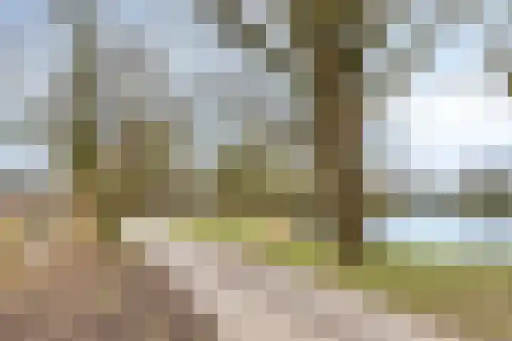 Katwoudehof 92 Arnhem thumbnail 50