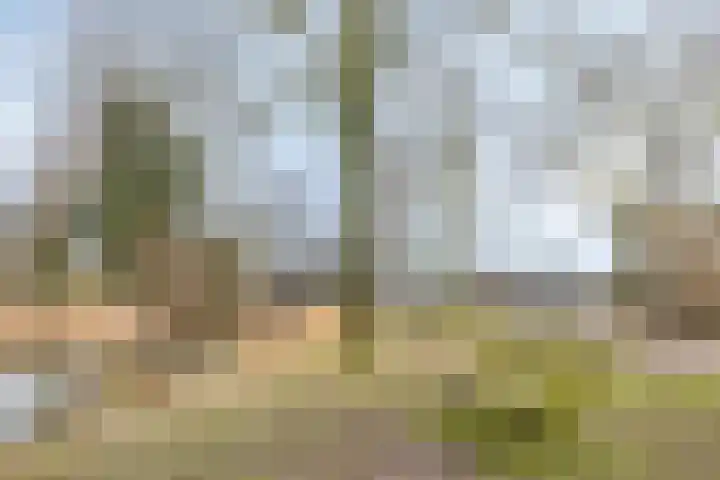 Katwoudehof 92 Arnhem thumbnail 52