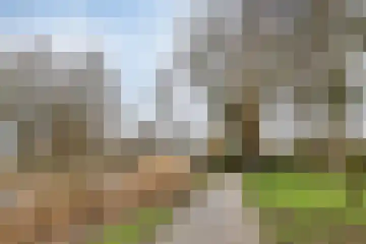 Katwoudehof 92 Arnhem thumbnail 54
