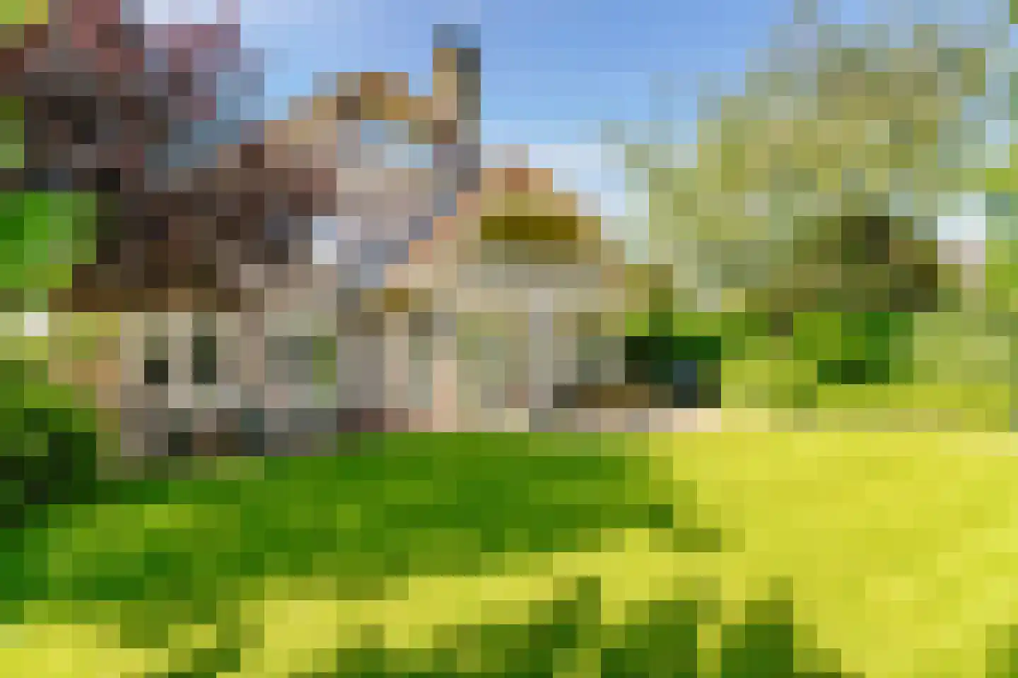 Katwoudestraat 1 Lelystad thumbnail 39