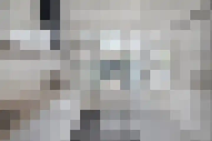 Katwoudestraat 6 Tilburg thumbnail 20