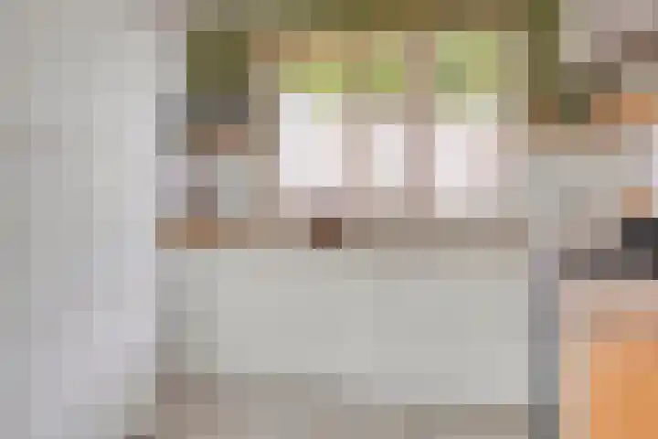 Kaukasus 20 Assendelft thumbnail 10