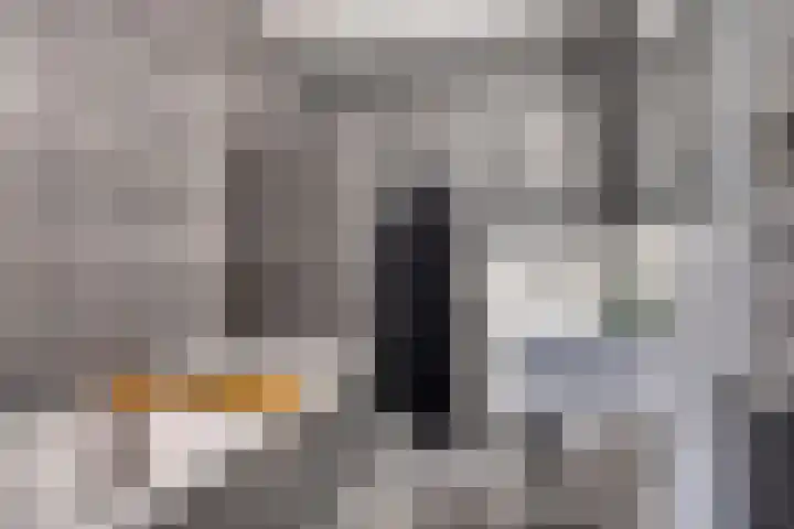 Kaukasus 20 Assendelft thumbnail 18