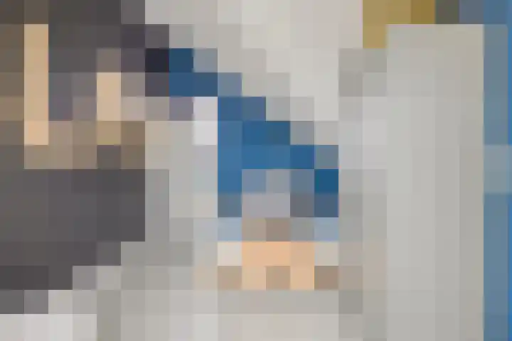 Kaukasus 20 Assendelft thumbnail 23