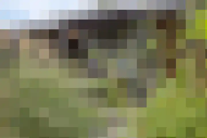 Kaukasus 20 Assendelft thumbnail 29