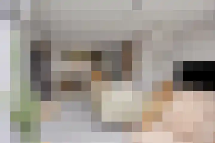 Kaukasus 20 Assendelft thumbnail 7