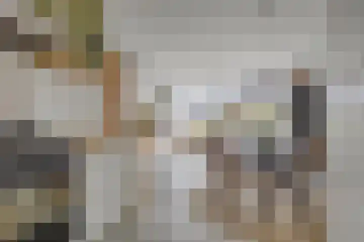 Kaukasus 20 Assendelft thumbnail 8