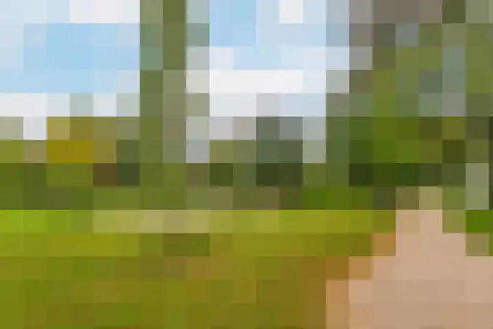 Kaukasus 25 Helmond thumbnail 14