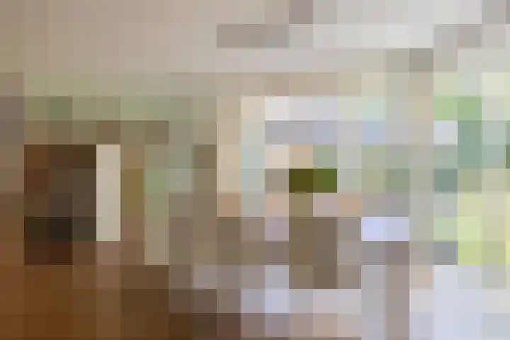 Kaukasus 25 Helmond thumbnail 14
