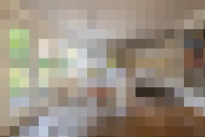 Kaukasus 25 Helmond thumbnail 16