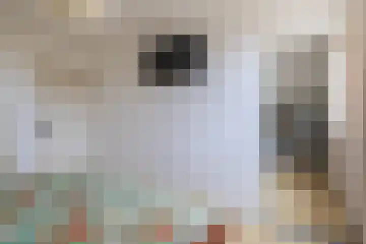 Kaukasus 25 Helmond thumbnail 31
