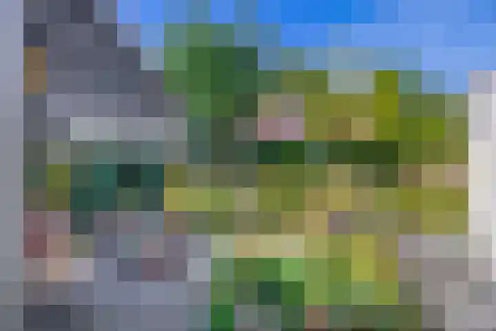Kaukasus 25 Helmond thumbnail 47