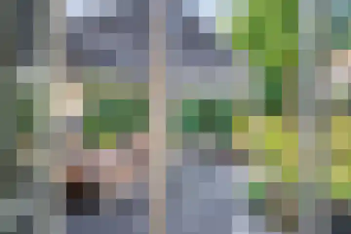 Kaukasus 25 Helmond thumbnail 48