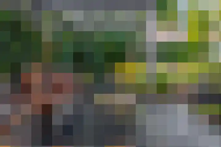 Kaukasus 25 Helmond thumbnail 55