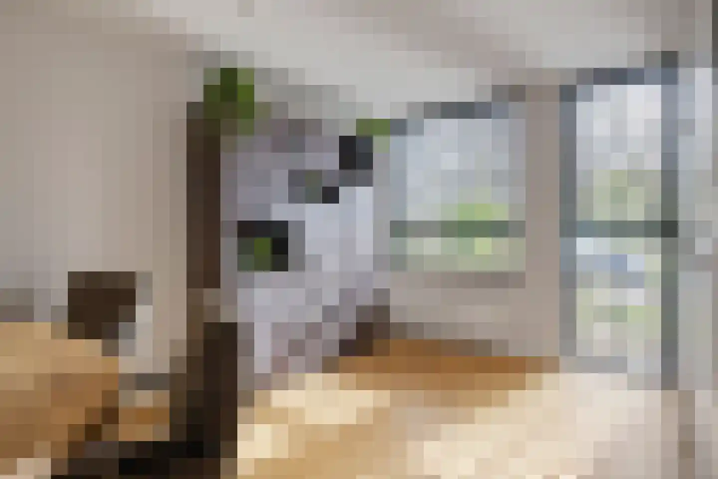 Kaukasus 42 Helmond thumbnail 6