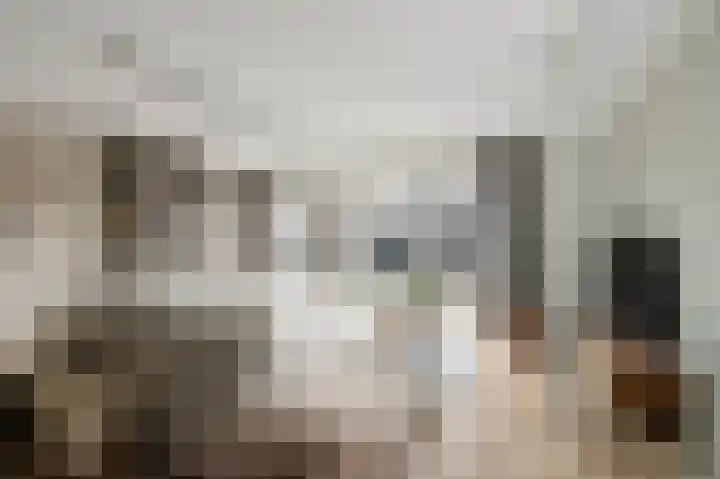 Kaukasus 43 Assendelft thumbnail 12