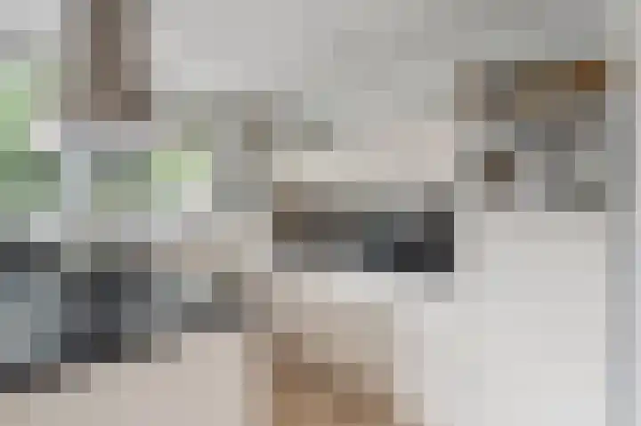 Kaukasus 43 Assendelft thumbnail 24