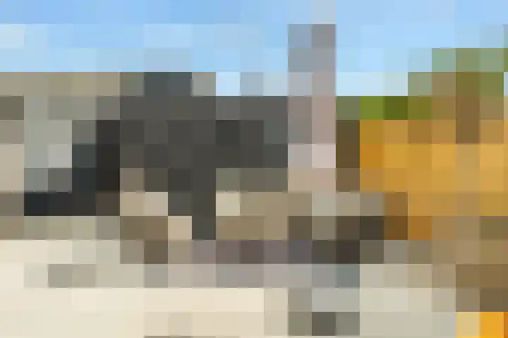 Kaukasus 43 Assendelft thumbnail 45
