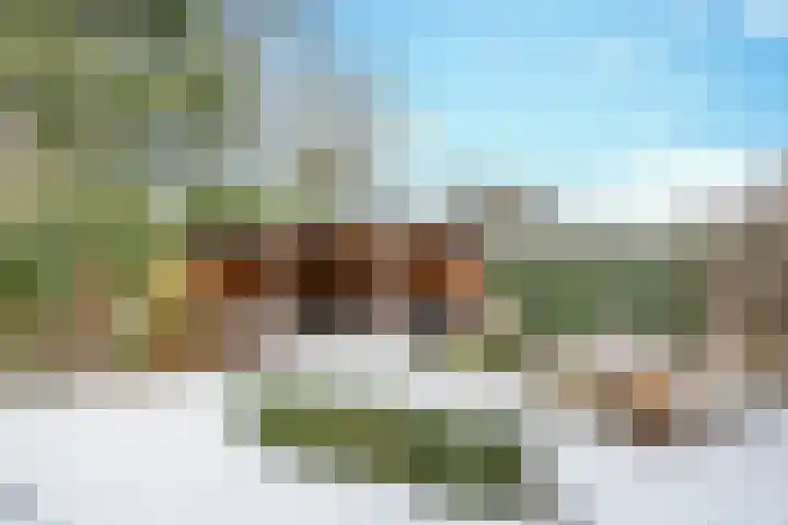 Kaukasus 46 Helmond thumbnail 36