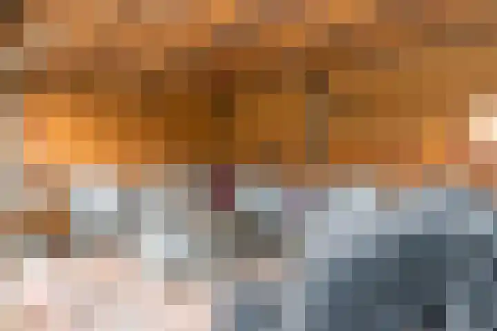 Kaukasus 46 Helmond thumbnail 39