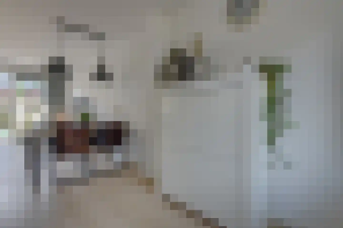 Kaukasus 48 Assendelft thumbnail 16