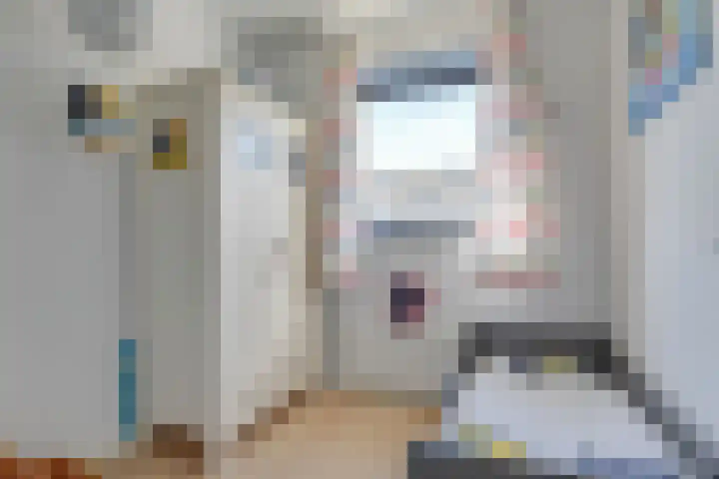 Kaukasus 48 Assendelft thumbnail 27