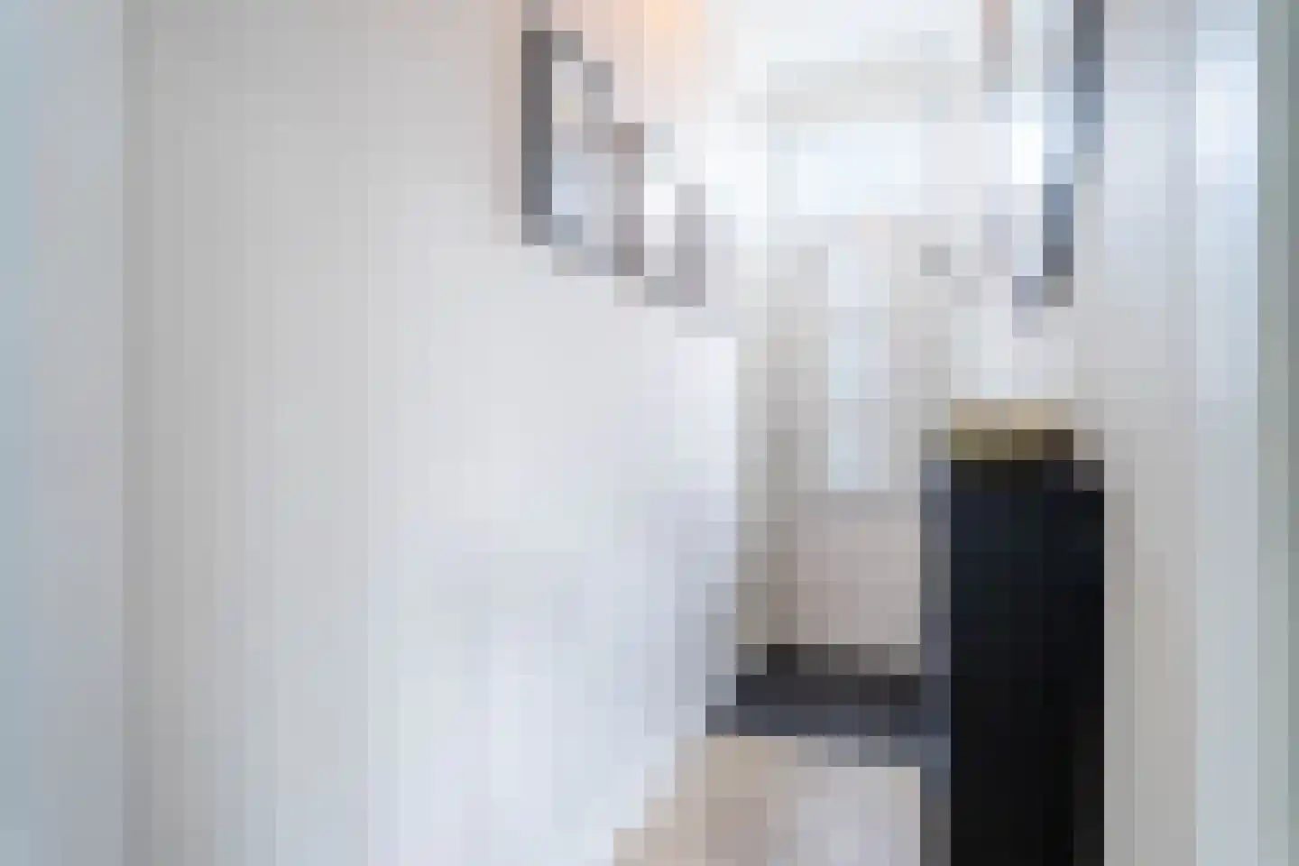 Kaukasuslaan 16 Tilburg thumbnail 13
