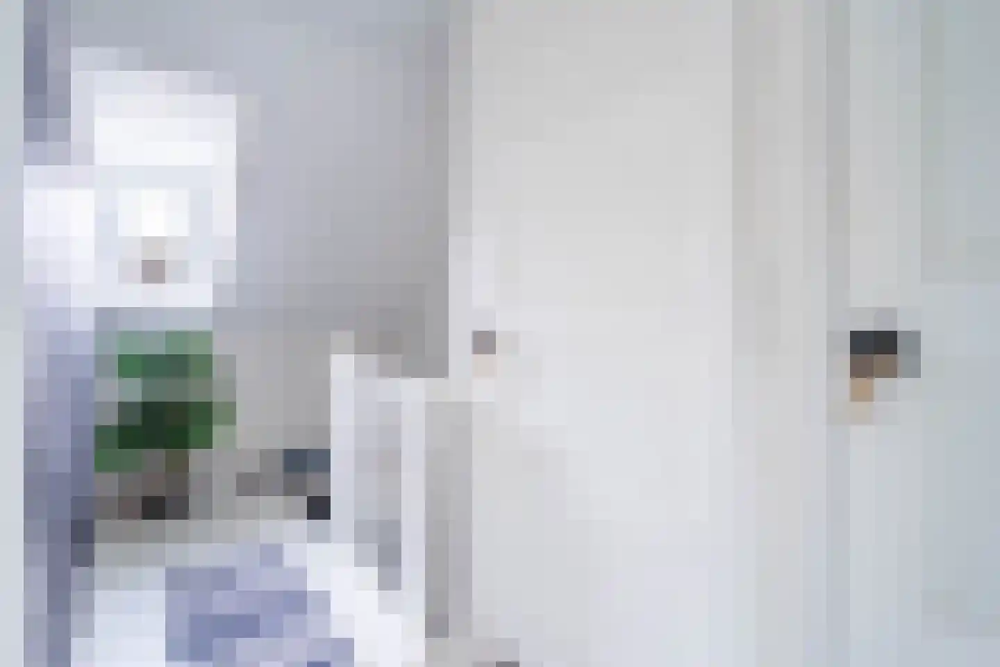 Kaukasuslaan 16 Tilburg thumbnail 15