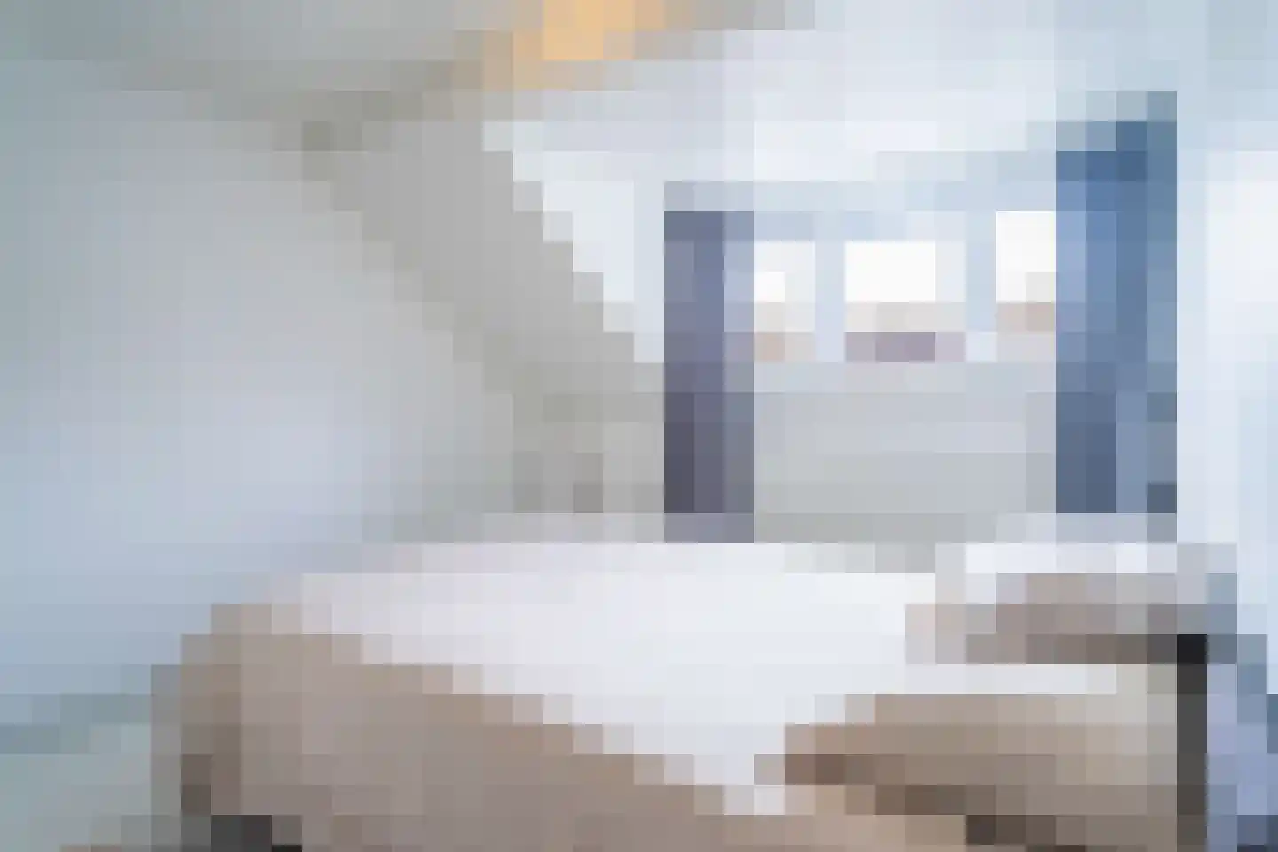 Kaukasuslaan 16 Tilburg thumbnail 17