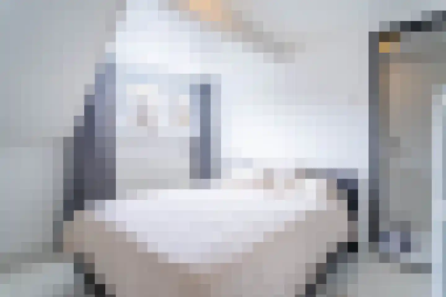 Kaukasuslaan 16 Tilburg thumbnail 18