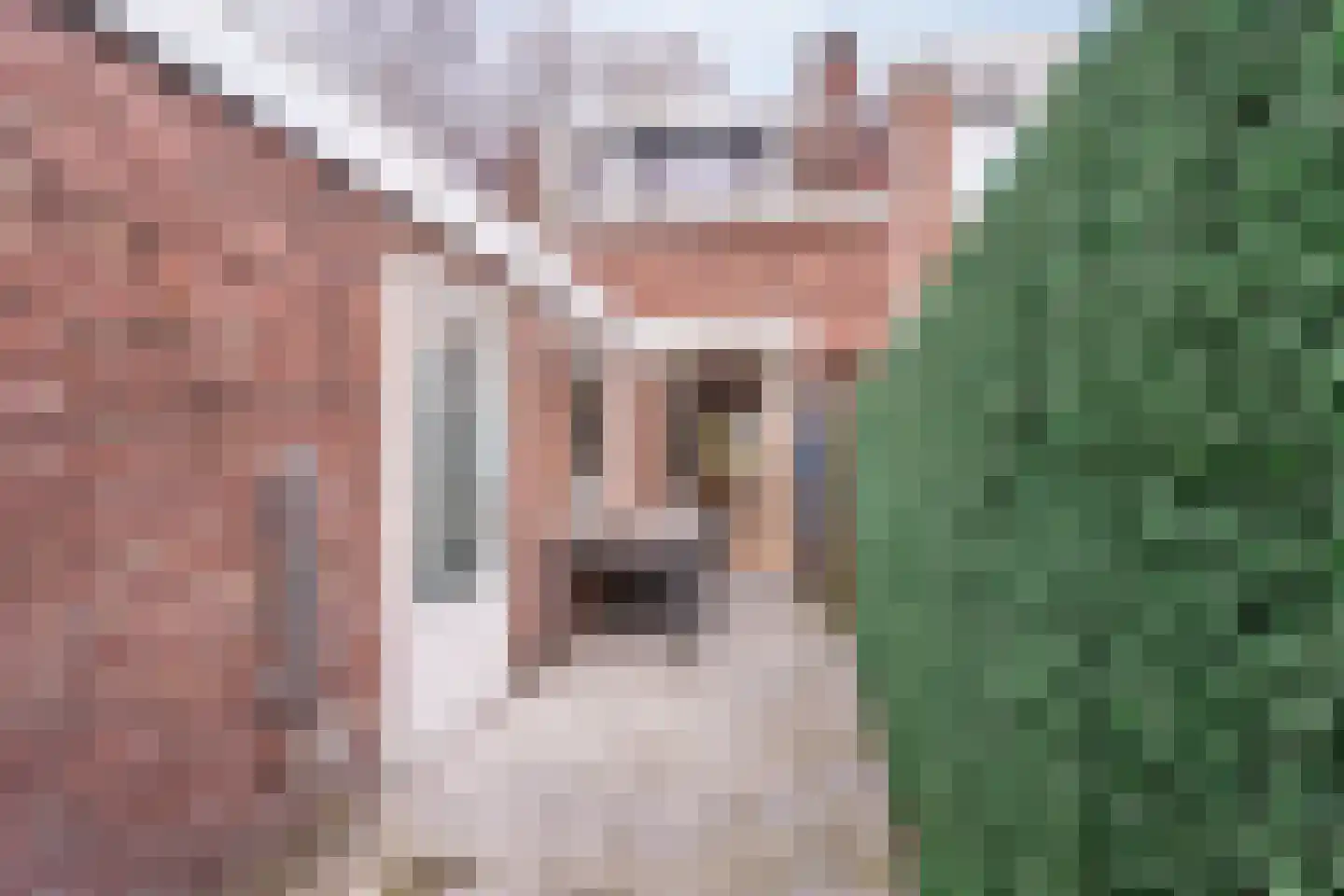 Kaukasuslaan 16 Tilburg thumbnail 21