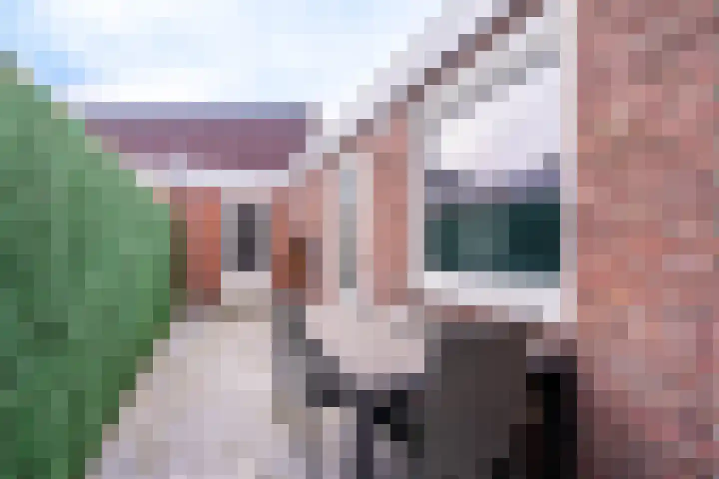 Kaukasuslaan 16 Tilburg thumbnail 22