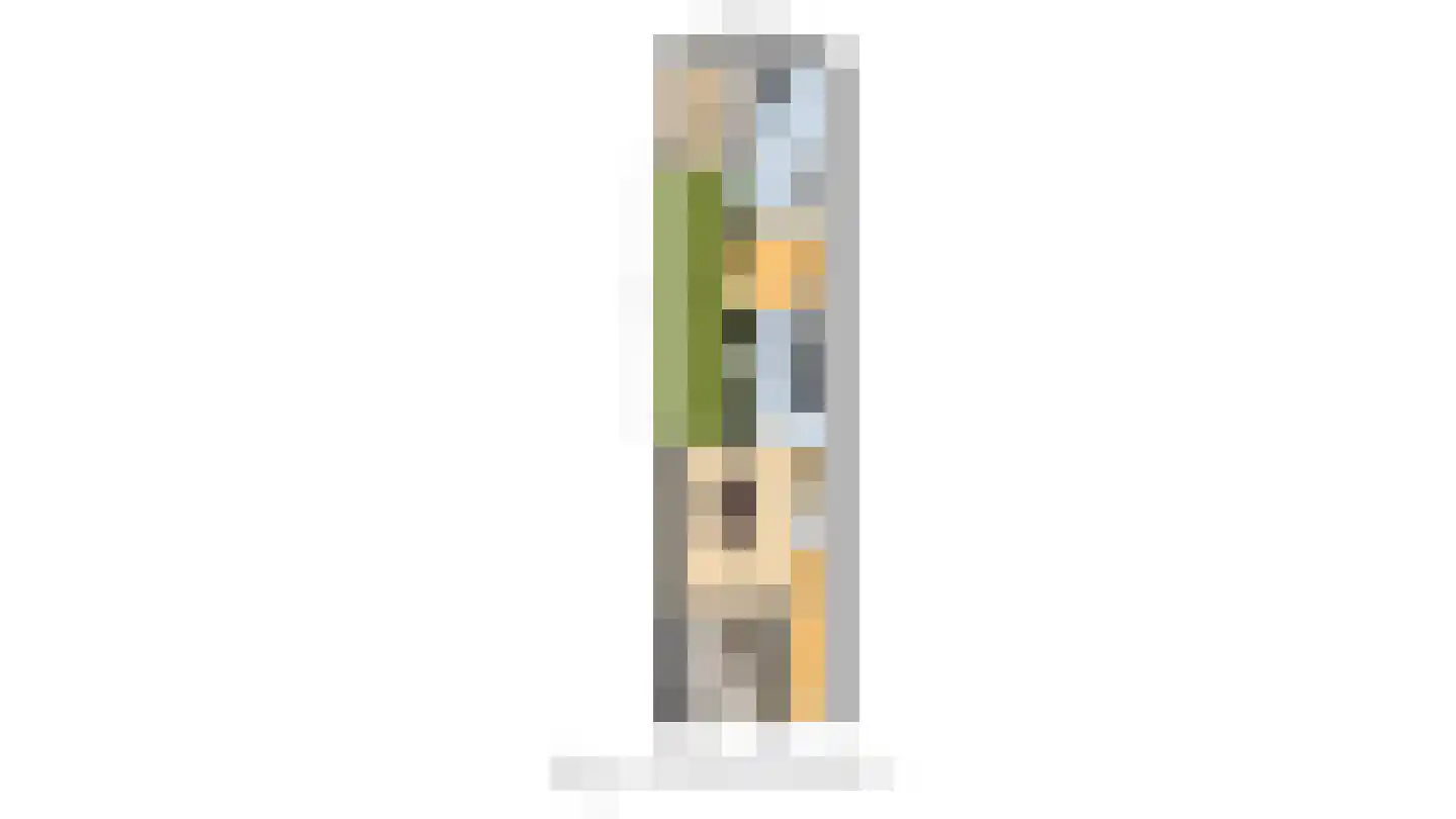 Kaukasuslaan 16 Tilburg thumbnail 26