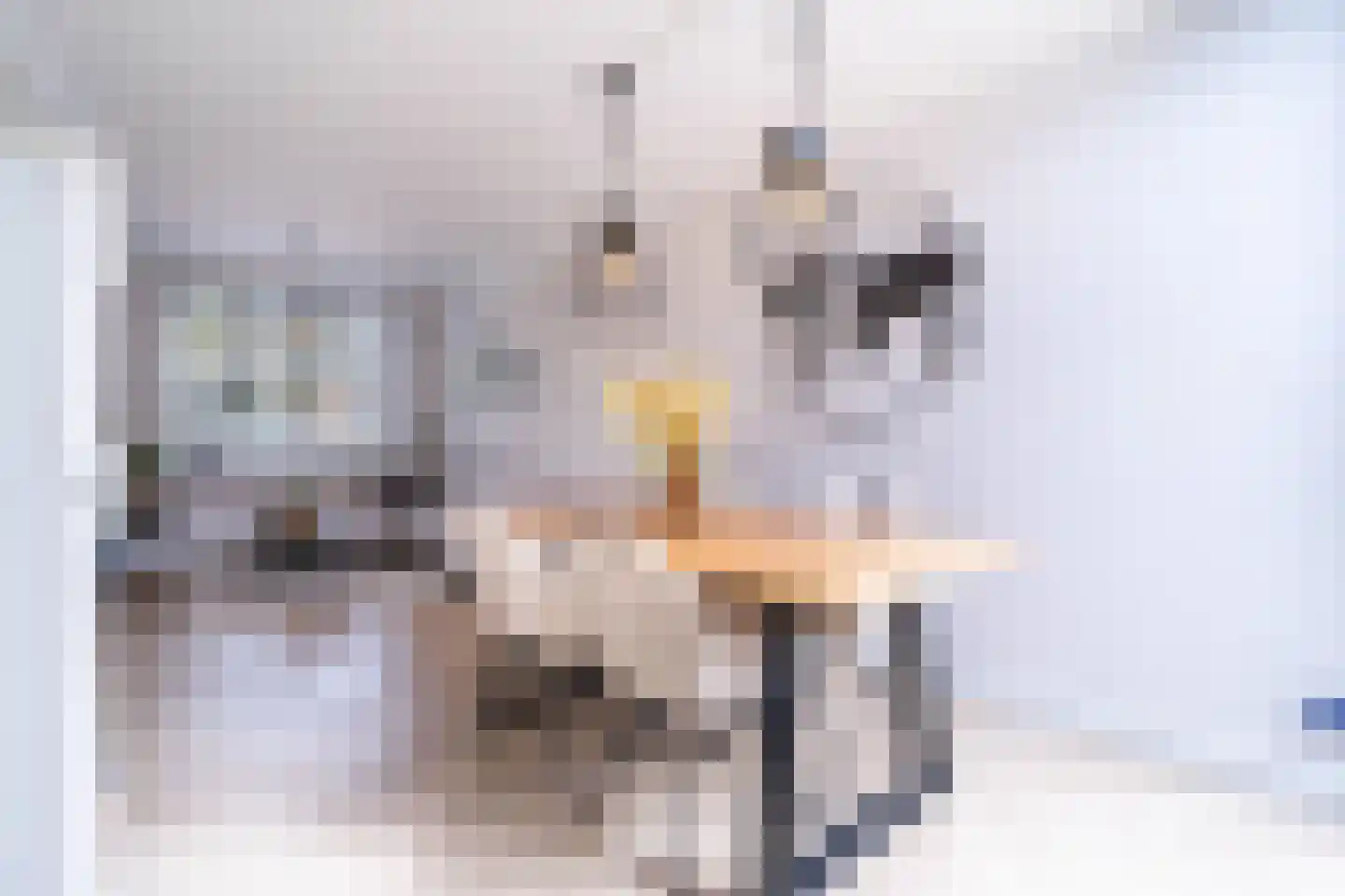 Kaukasuslaan 16 Tilburg thumbnail 4