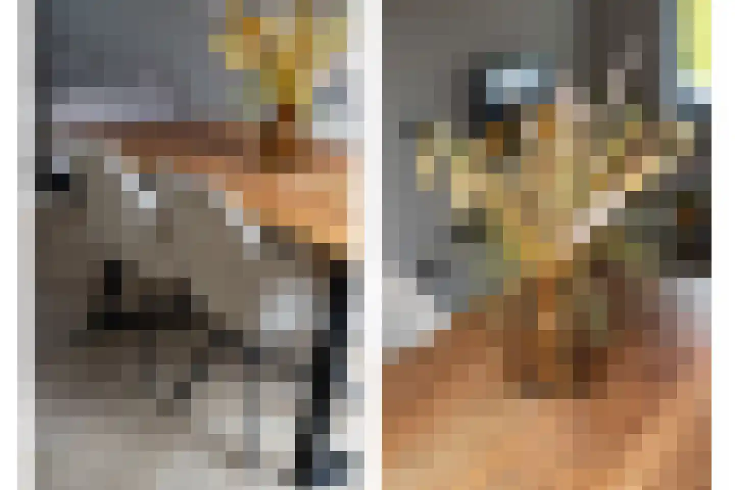 Kaukasuslaan 16 Tilburg thumbnail 5