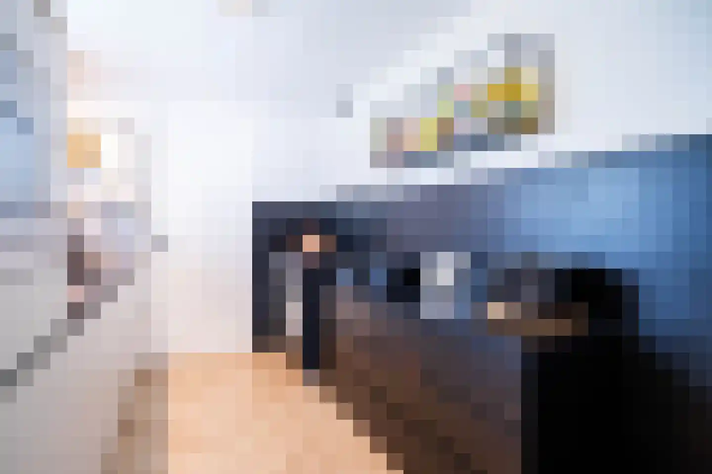 Kaukasuslaan 16 Tilburg thumbnail 8