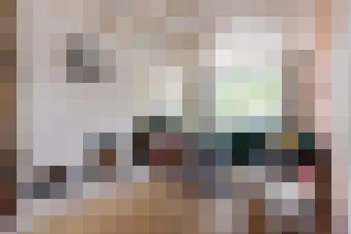 Kaukasuslaan 26 Tilburg thumbnail 11