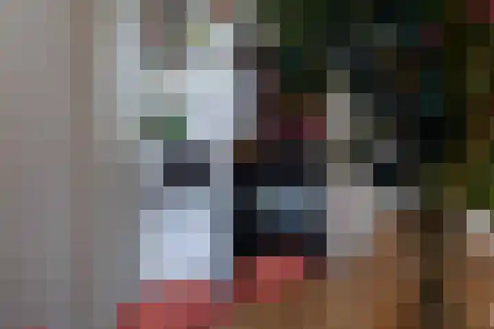 Kaukasuslaan 26 Tilburg thumbnail 14