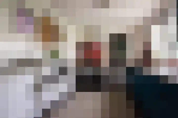 Kaukasuslaan 26 Tilburg thumbnail 17