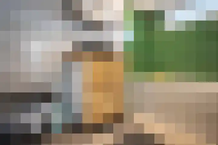 Kaukasuslaan 26 Tilburg thumbnail 21