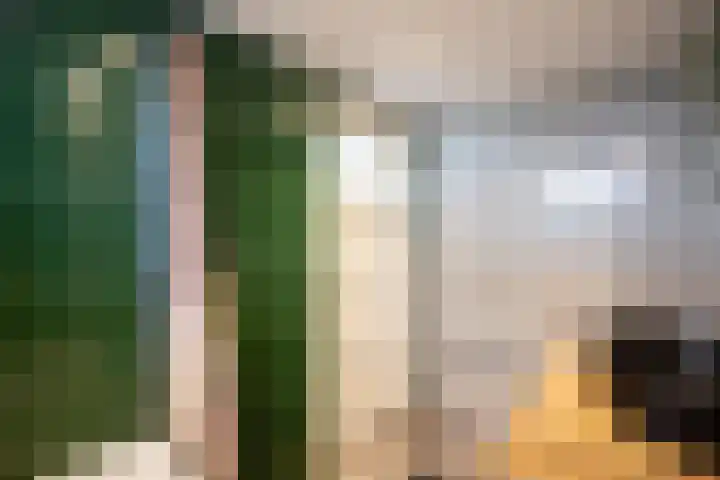 Kaukasuslaan 26 Tilburg thumbnail 22