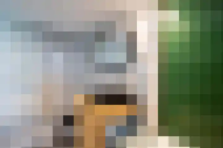 Kaukasuslaan 26 Tilburg thumbnail 23