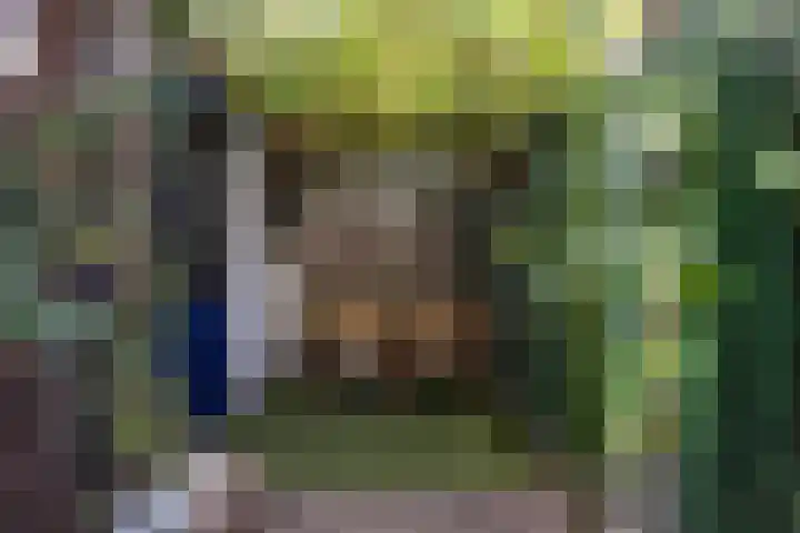 Kaukasuslaan 26 Tilburg thumbnail 26